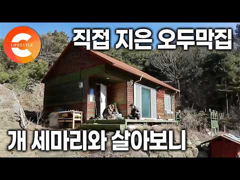 "남편이 요리를 잘해서 먹고 싶은 거 다 먹고 살아요" 도시에서 아무것도 없는 지리산 골짜기로 들어왔지만 만족도 100%라는 어느 부부의 오두막집 생활ㅣ#한국기행