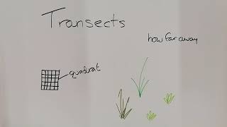 Transects basics GCSE Biology AQA
