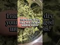 Dried mullein asmr. How to on the website! #recipe