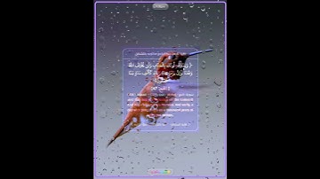 سورة الحج الأيه ٤٧ سعد الغامدي