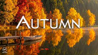 4K Autumn Forest Meditation 🍁 Peaceful Nature Sounds & Healing Music for Deep Relaxation
