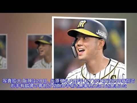 阪神・糸原が右手手術を無事終える「悔しい思いしかない」Top News