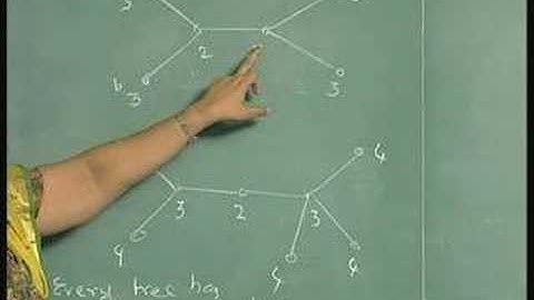 Lecture 17 - Trees and Graphs