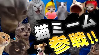 【スマブラSP】猫ミーム参戦!! #猫ミーム #猫マニ