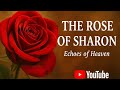 The Rose Of Sharon Worship Song By Echoes Of Heaven mp3