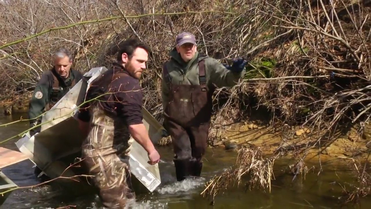 Visit Martha's Vineyard Herring Creek Fish Counter YouTube