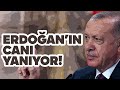 Can Dündar: Erdoğan'ın canı yanıyor!