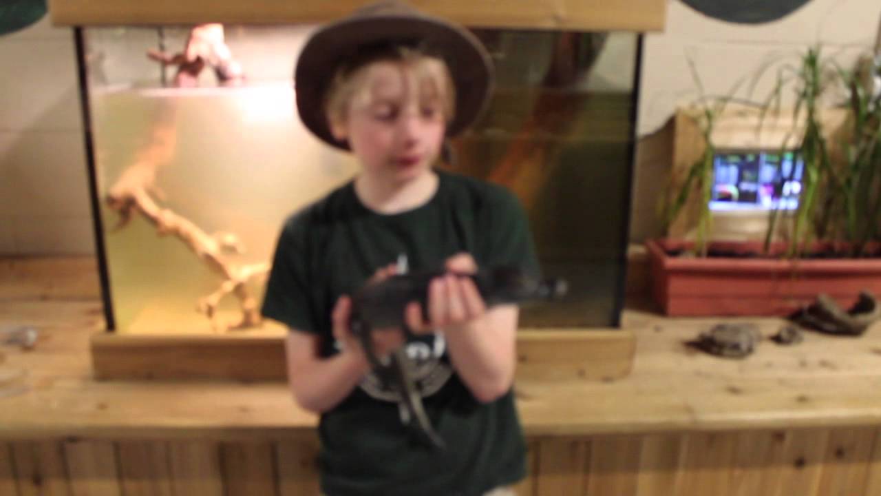 herping gear Caiman at Little Rays