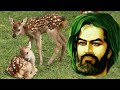 اشک امام حسین و معجزه آهو اشک امام حسین و معجزه آهو