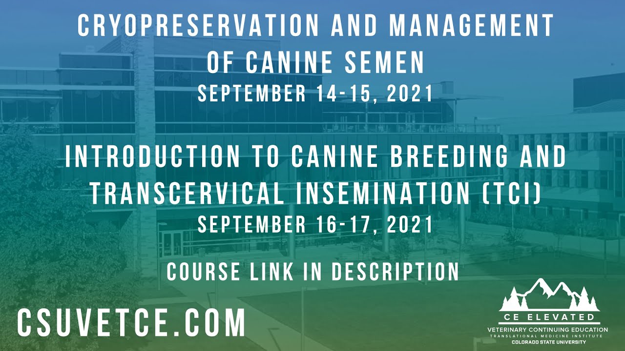 Cryopreservation & Management of Canine Semen/Introduction to Canine Breeding & TCI Promo