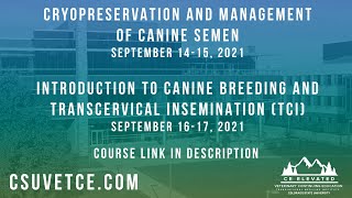 Cryopreservation & Management of Canine Semen/Introduction to Canine Breeding & TCI Promo News