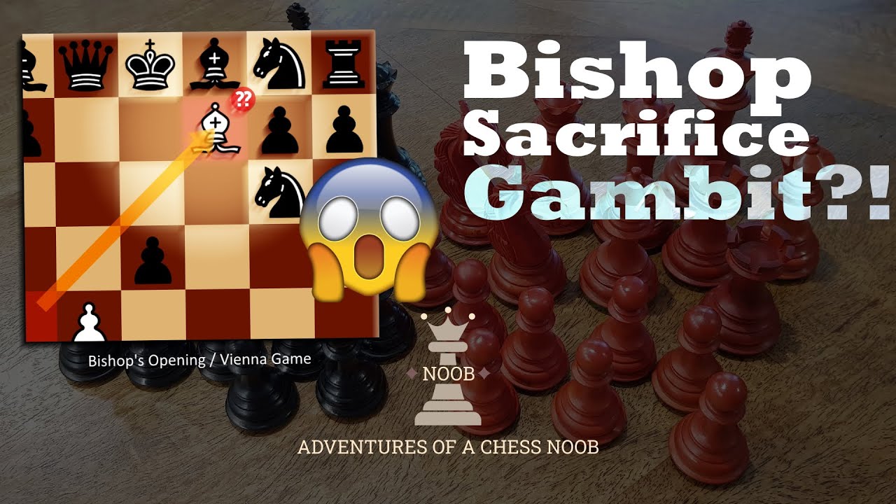 Win and lose with the Bishop sacrifice gambit! – Adventures of a Chess Noob