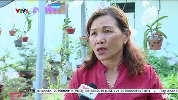 VTV1: Nỗ lực giảm rác thải nhựa đại dương