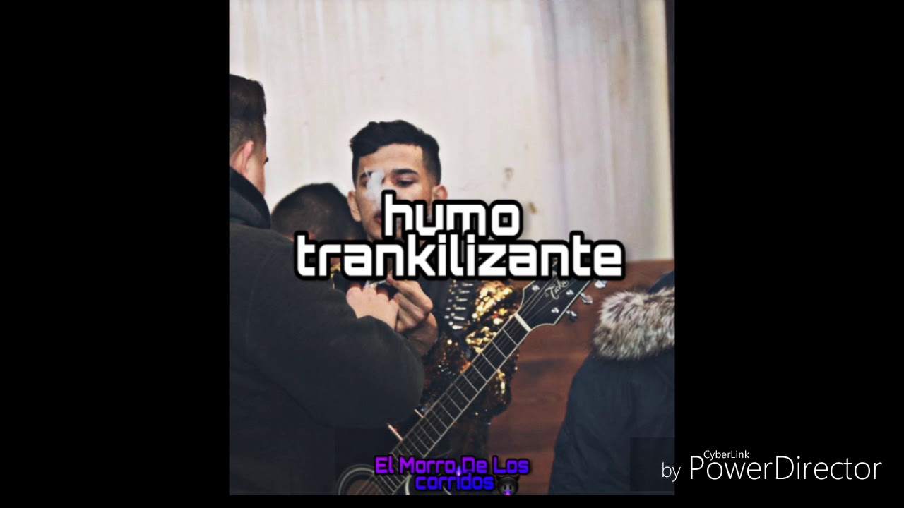 Hijos De Leyva Humo Tranquilizante Lyrics English Hijos de leyva- Humo trankilizante | El Morro De Los Corridos - YouTube