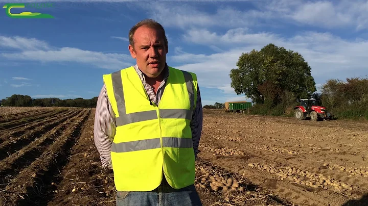 Teagasc Potato Breeding Programme