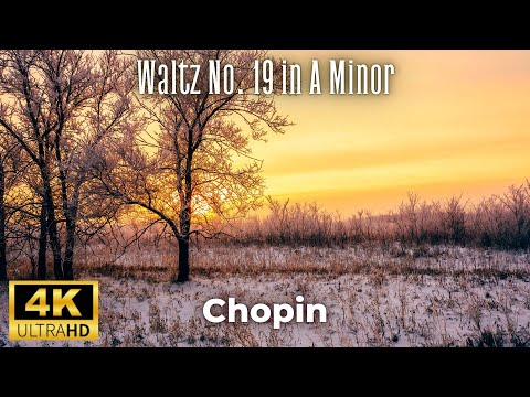 Chopin - Waltz No. 19 in A minor 4K