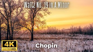 Chopin - Waltz No. 19 In A Minor 4K