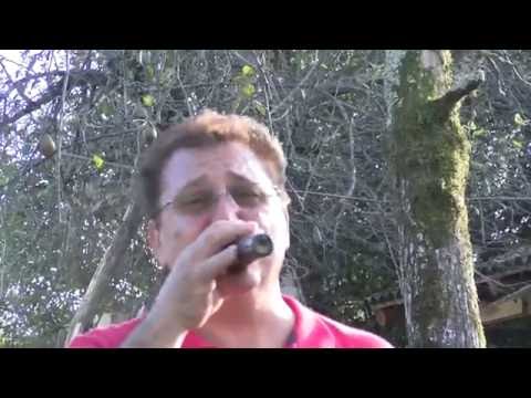 ერთი დაუვიწყარი საღამო სოფელ ნაკიფუში.