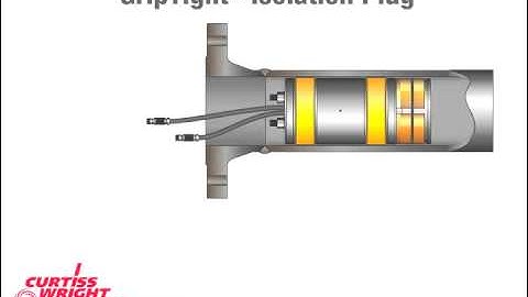 GripTight® Isolation Plug