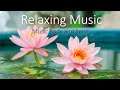 Relaxing Music - Music Body and Spirit - (Full Album)