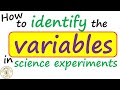 Understanding Variables in Science Experiments
