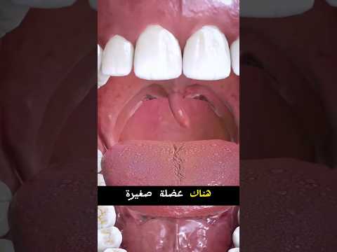 ما فائدة لهاة الحلق لديك