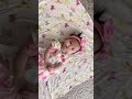 【4pマイナス症候群】のピナちゃんのお名前実は…ピナちゃんって呼んでね♡