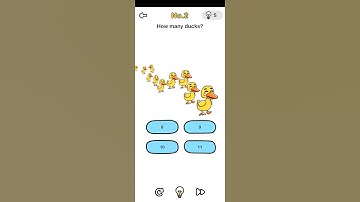 How many ducks| Brain Out| Gameplay#Level 2
