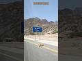 تجربة السفر مع جو باص وجمال جبال دهب