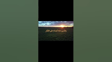 {مُّحَمَّدٌ رَّسُولُ اللَّهِ ۚ وَالَّذِينَ مَعَهُ أَشِدَّاءُ} سورة الفتح #ياسر_الدوسري