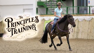 The Principles of Training Season 3 Episode 11: “Helping a Horse with a Chronically Rushing Canter”