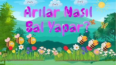 Arılar Nasıl Bal Yapar ? Okul Öncesi Eğitici Animasyon