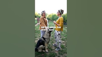 What If Gravity Suddenly Doubled? #WhatIf #GravityShift #ScienceTikTok