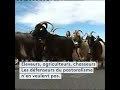 Manifestation contre la réintroduction de l'ours en Béarn 🐻