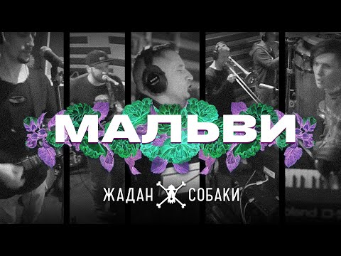 Жадан і Собаки – Мальви (Офіційне відео)