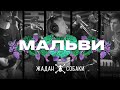 Жадан і Собаки – Мальви (Official Video)