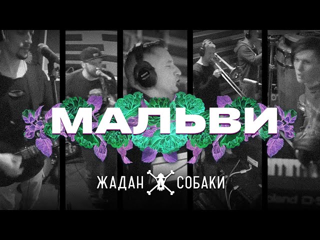 ЖАДАН І СОБАКИ - Мальви