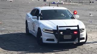 CHP polar-bear Dodge Charger