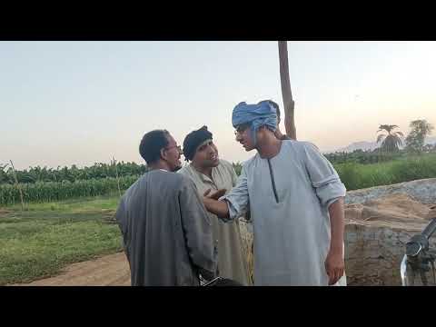 عم شوقي مش سايب حد في حاله