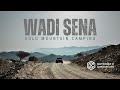 Solo Camping Wadi Sena Windmill Jeep Wrangler Solo Camping Wadi Sena Windmill Jeep Wrangler