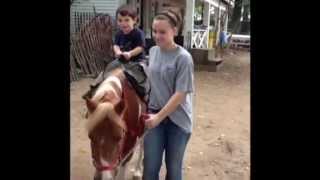 Xander rides the ponies and goes to the petting zoo