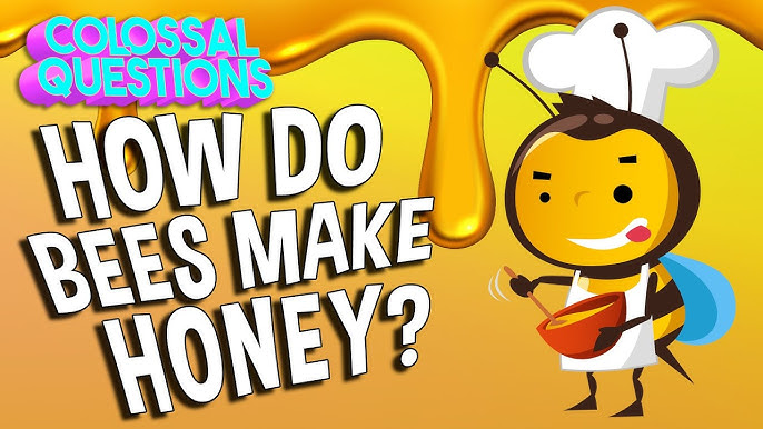 How do bees make honey? – ScottishBeeCompany