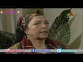 المسلسل الجزائري البذرة الحلقة 05 مسلسل رائع