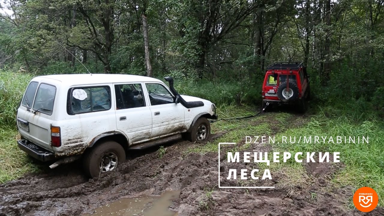 Внедорожники в Мещерских лесах - YouTube