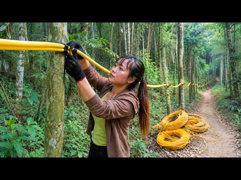 Binh’s Road to the Future | Opening 2,000 Meters to Bring Power to the Farm