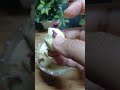 ye kis kis ka favorite he #trending #food #ytshorts #cooking #youtubeshorts #subscribemychannel