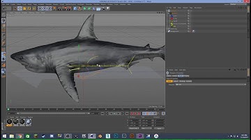 3D Shark Attack After Effects Tutorial!