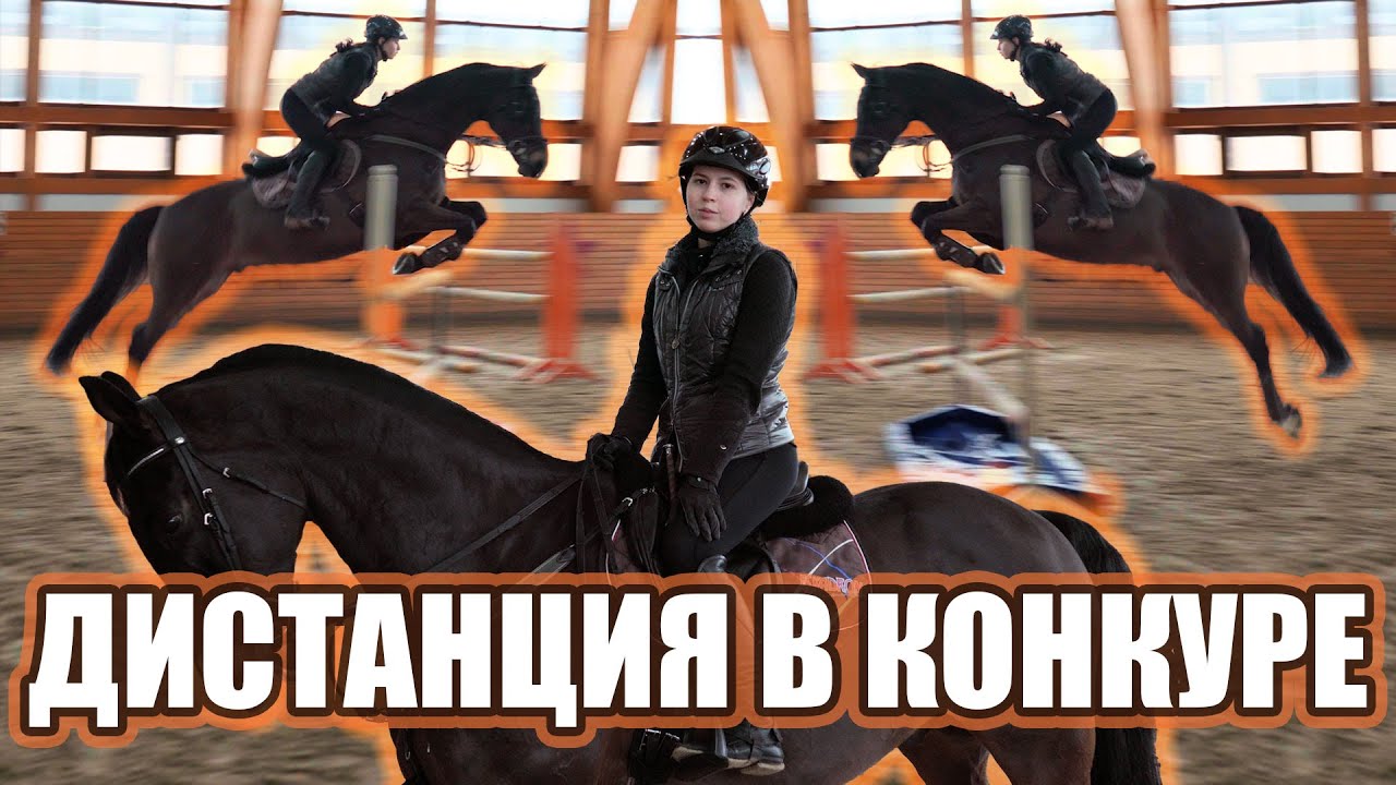 Возможности тренировки коня-качка