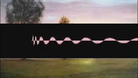 Vedashonkytonk Influences semoxnkfyq