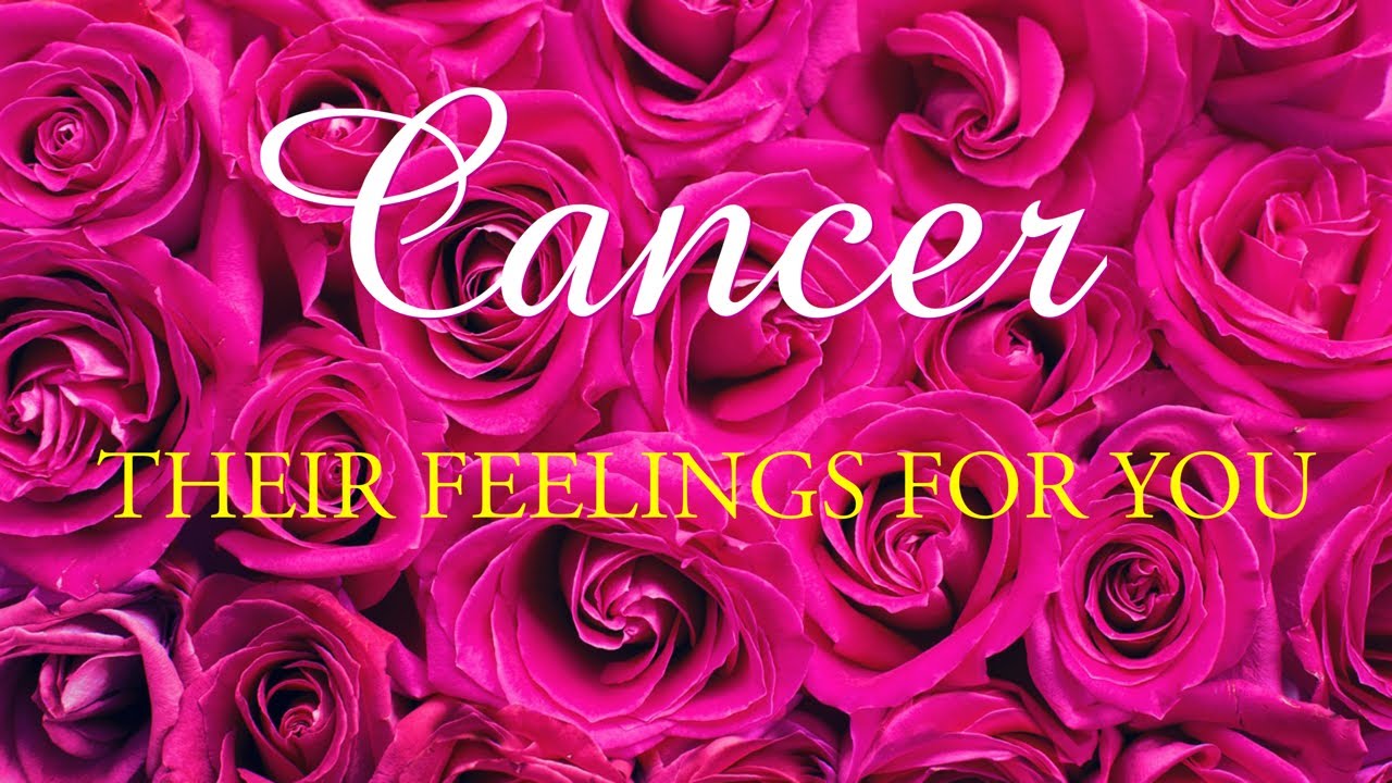 CANCER tarot love ♋️ This Person Will Tell You That They Want To Be With You But It Is Complicated